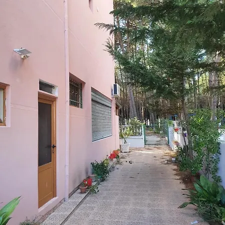 Apartment Amla Spille